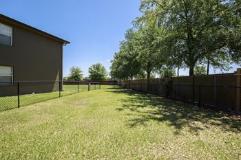 Dog park